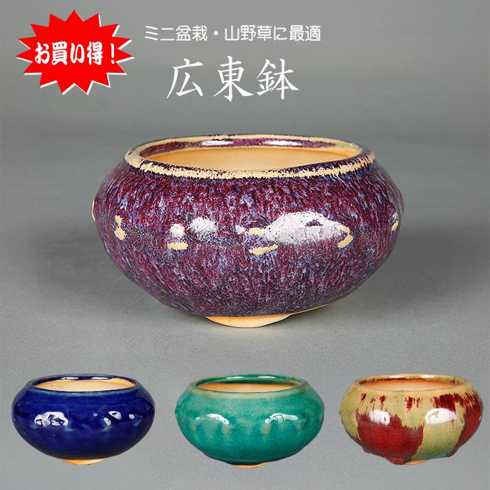 盆栽鉢 「広東色小鉢」 植木鉢 中国鉢 色小鉢 4号 11.5cm 小品盆栽
