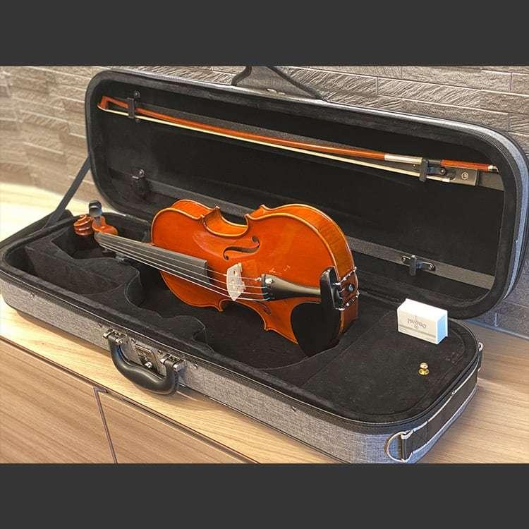 極美品✨】スズキ バイオリン Nn.500 4/4 2007年製 ケース付き