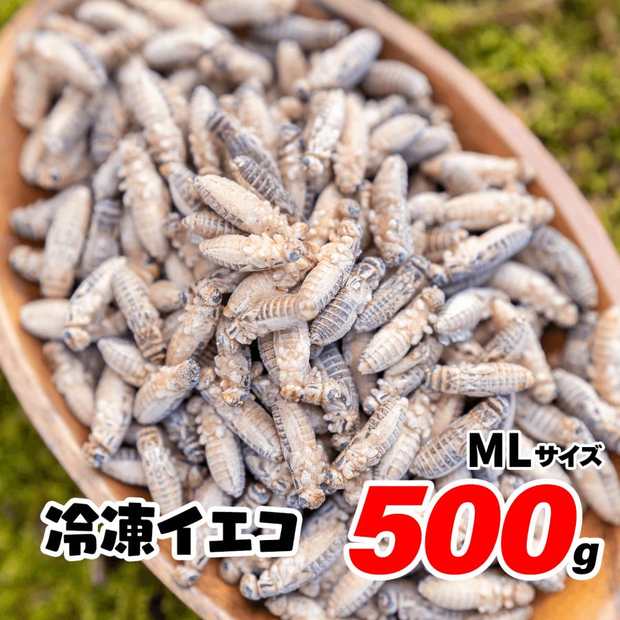 冷凍コオロギ 500g 約1650匹 1.5-2cm コオロギ ヨーロッパイエコオロギ