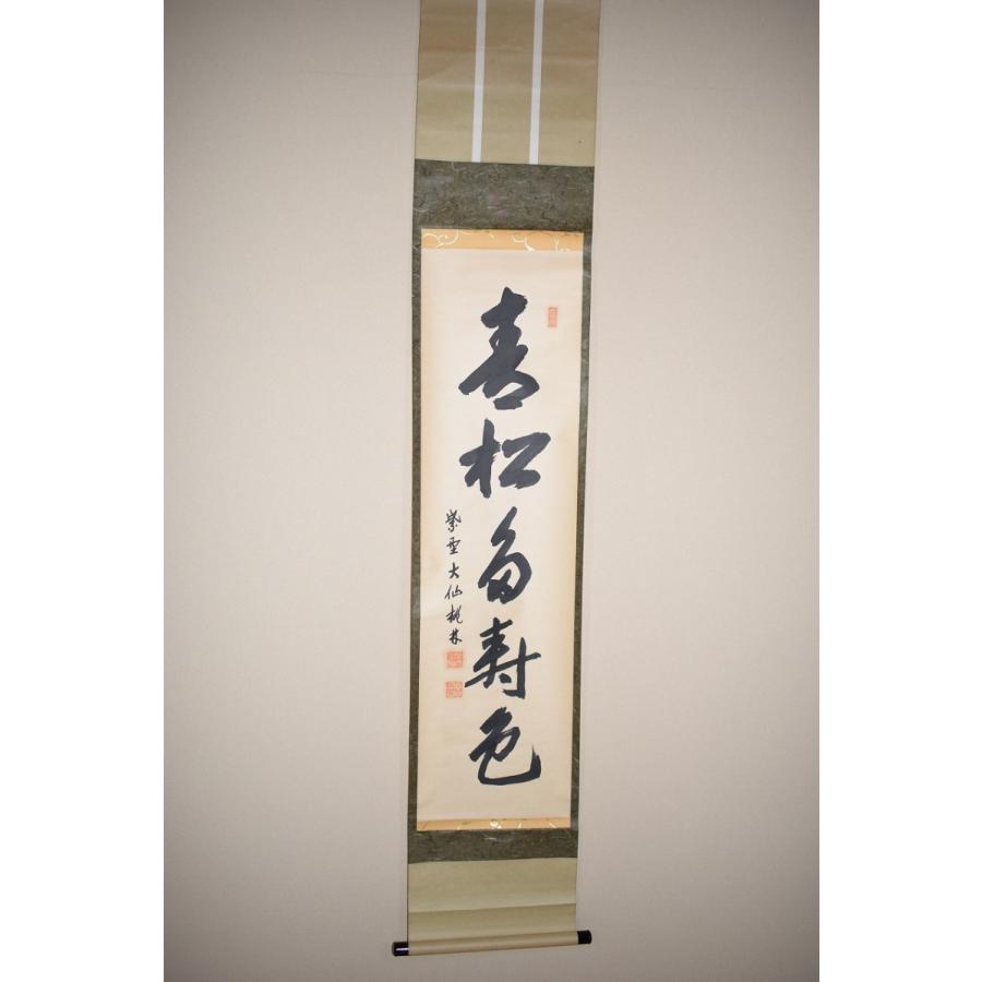 茶道具 掛軸 大徳寺 大仙院 尾関 桃林 「青松多寿色」 掛け軸 01-5201