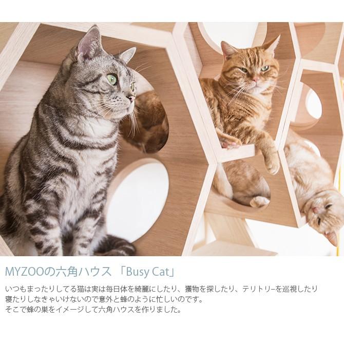 猫 キャットステップ キャットウォーク 六角 木製 MYZOO マイズー Busy