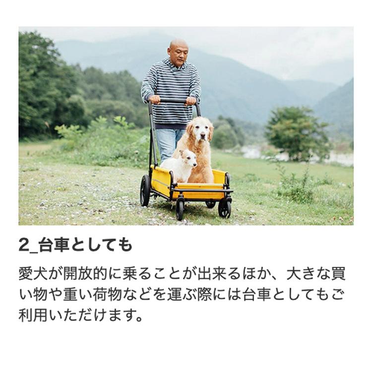 Cube エアバギー CARRIAGE キャリッジ 台車+ルーフセット 特典あり