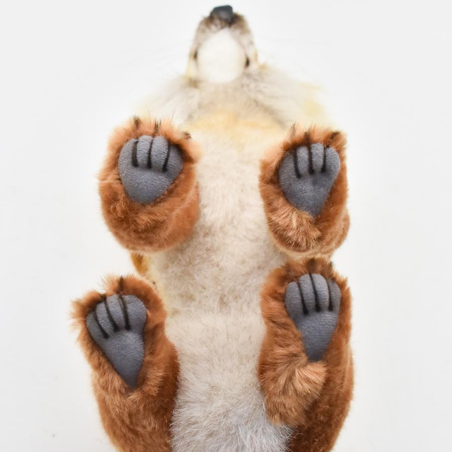 HANSA BH6098 アカギツネ キツネ きつね 狐 ぬいぐるみ リアル : Dear