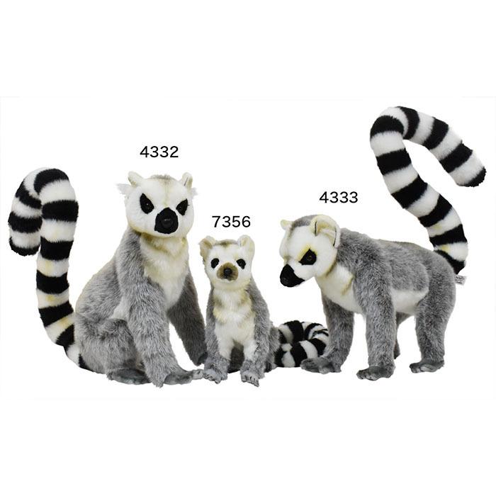 灰色の狐猿 灰色の狐猿様連絡専用 灰色の狐猿様