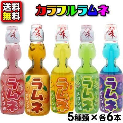 送料無料】【ハタ鉱泉】カラフルフルーツ瓶ラムネ 200ml5種アソート30