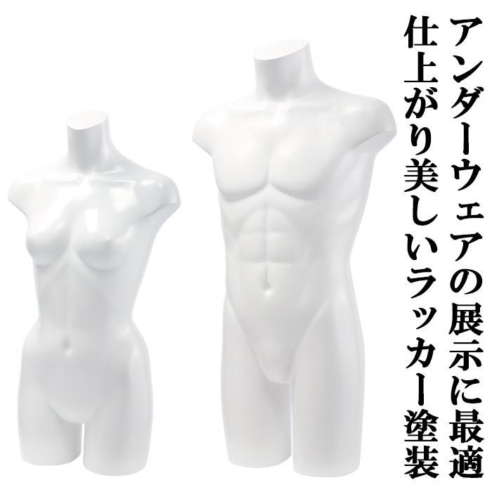 卓上ボディ レディース 上半身マネキン ラッカーボディ カラー5色