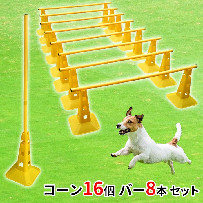 今日八幡に行ってきました😁😁 ブルーのJPDS一席のトロフィーと 日本