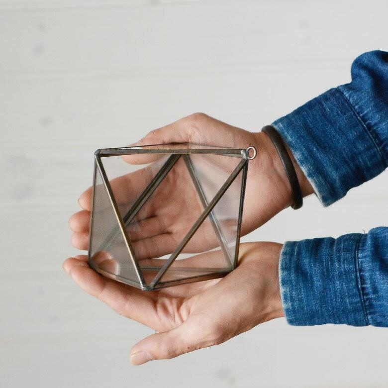 ヒレ長専門店 テラリウム テラリウム作品 | 苔テラリウム専門店Feel