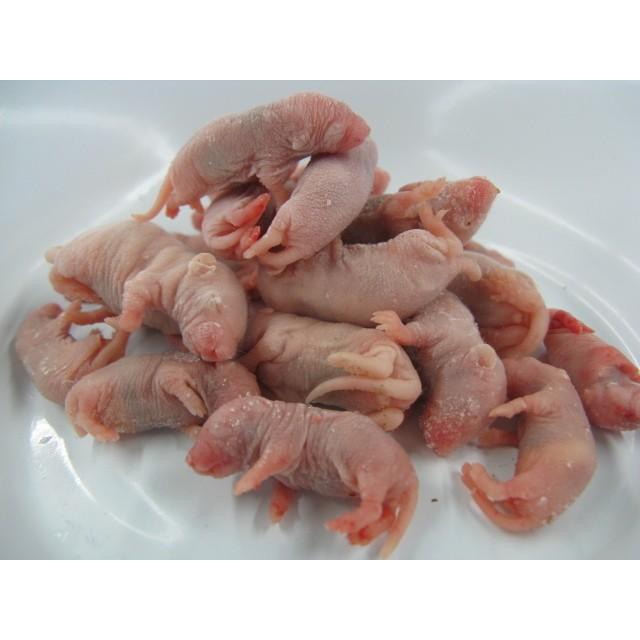 冷凍ピンクマウス（L） 4cm 10匹入【クール便】（国産） : フィッシュ