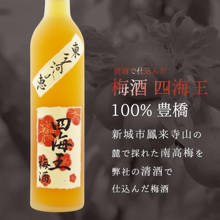 蔵元直送 東三河ふるさとセット 純米大吟醸「夢吟香 40%」720ml＆