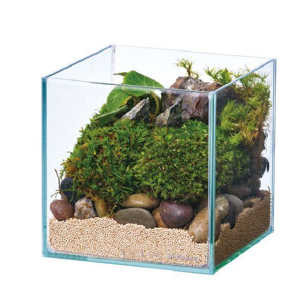 コトブキ キューブ水槽150 7個 キューブ水槽120 2個 コトブキ キューブ