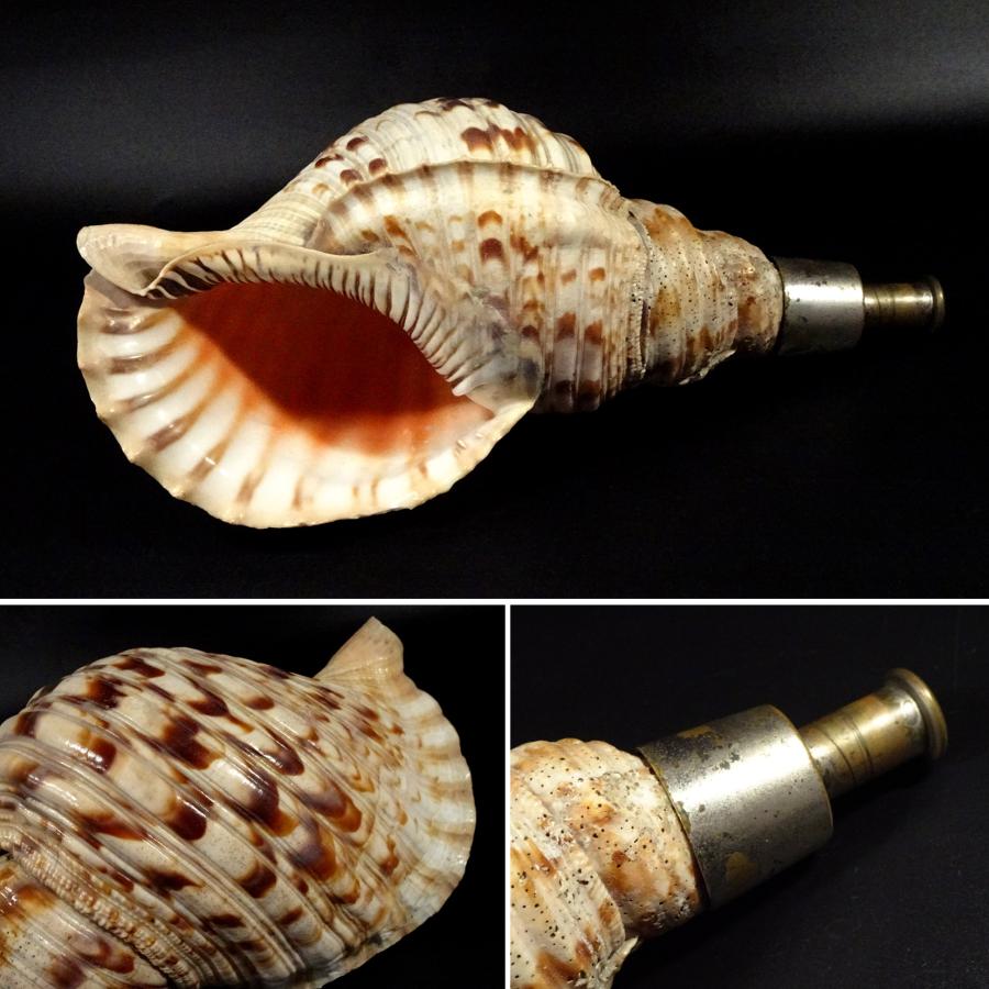 敬逢 時代 法螺貝造 戦笛 大笛 法螺貝笛 ホラ貝 山伏 修験道 密教 護摩