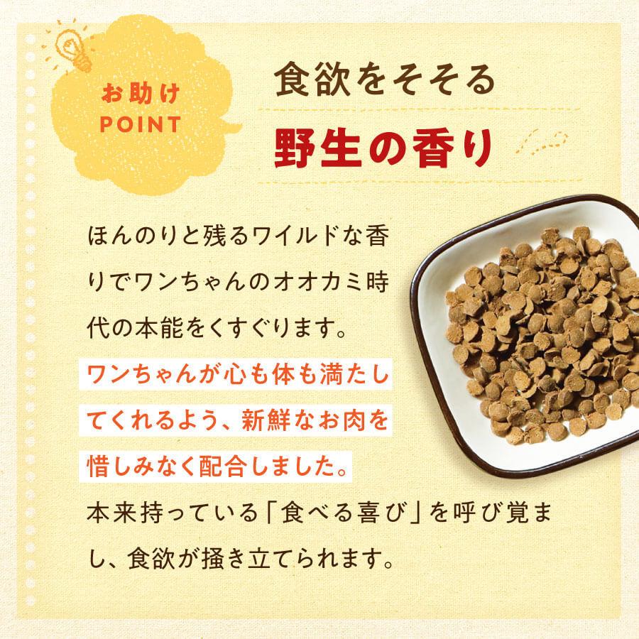 健康いぬ生活 ドックフード 無添加 国産 馬肉自然づくりプレミアム