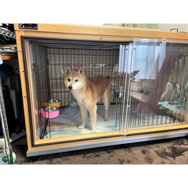 犬小屋製作工房K 防音犬小屋 ゲージ