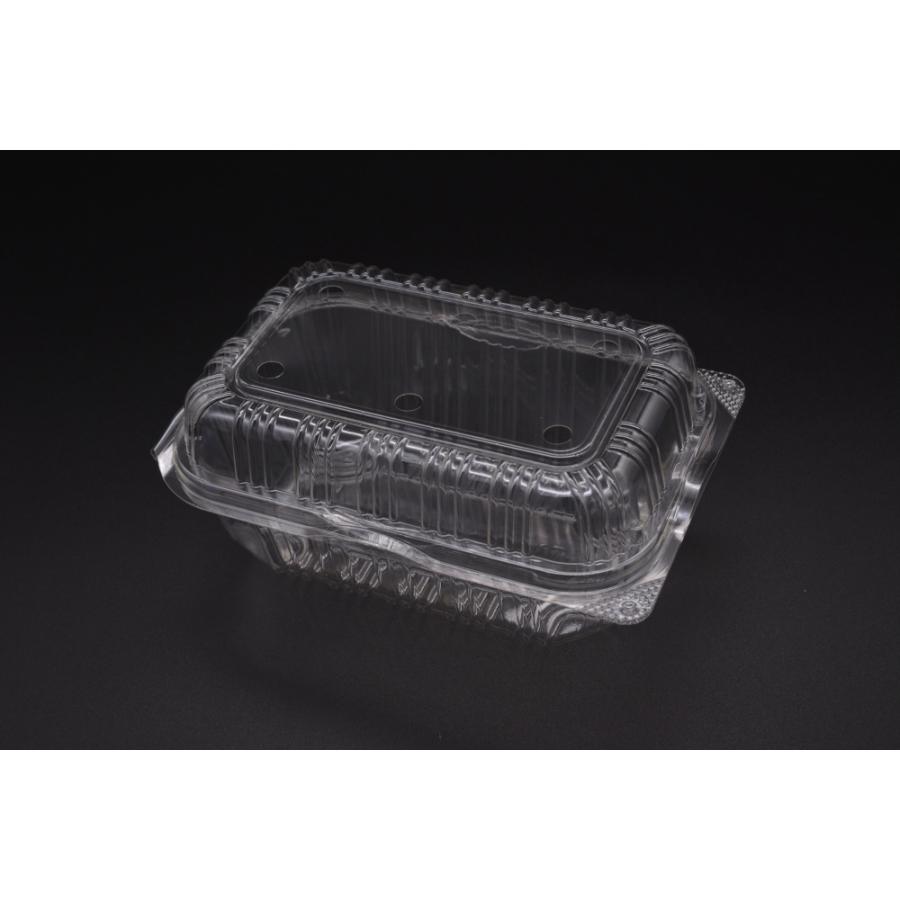 フルーツIG250gフード付き防曇 1000枚入 いちご イチゴ 苺 直売所 農園