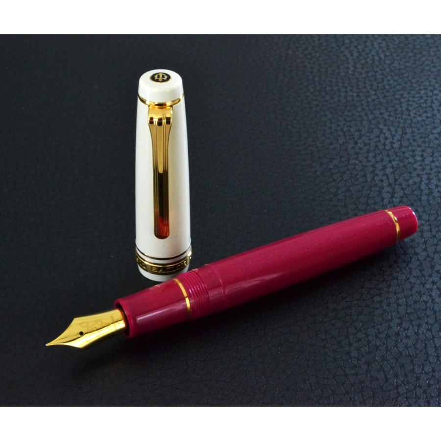 セーラー万年筆 PenPointオリジナルサクラ万年筆・夜桜ボトル