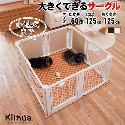 Kiinus（キーヌス） [ペットサークルF60XLメッシュB] 小型犬用