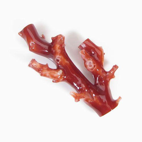 宝石珊瑚のSANSUI 血赤珊瑚 ルース 枝サンゴ 無染色 SANSUI : 宝石珊瑚