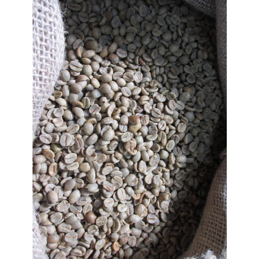 コーヒー生豆 ブラジルサントスNo．2 17/18 スタンダード 1kg