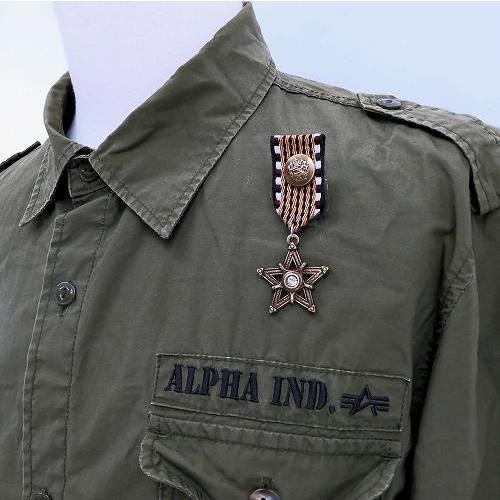 バッジ ミリタリー 勲章 茶色 スター cn3 勲章バッジ ワッペン風 WP