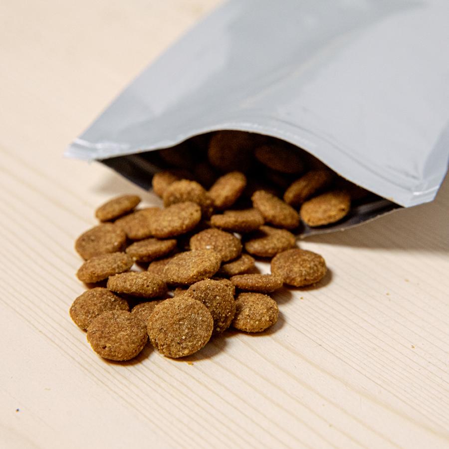 アビー 様専用！AZアダルト並粒10kg×2袋ブリーダーパック AZアゼット