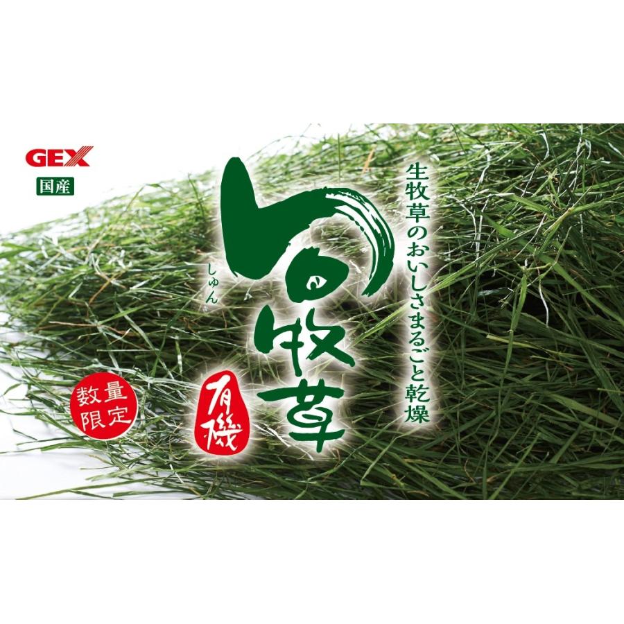 GEXジェックス イタリアンライグラス 旬牧草 300グラム 4袋【新品未
