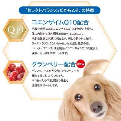 SELECT BALANCE セレクトバランス パピー チキン 小粒 子犬・母犬用7kg
