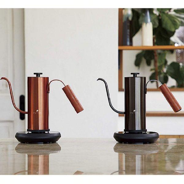 ケトル 電気ケトル おしゃれ 温度調節機能付き電気カフェケトル FSKK