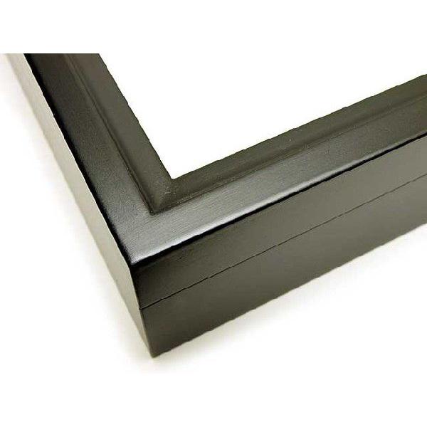 大型ドイツ型標本箱（黒） : インセクテック・ドット・コム - 通販