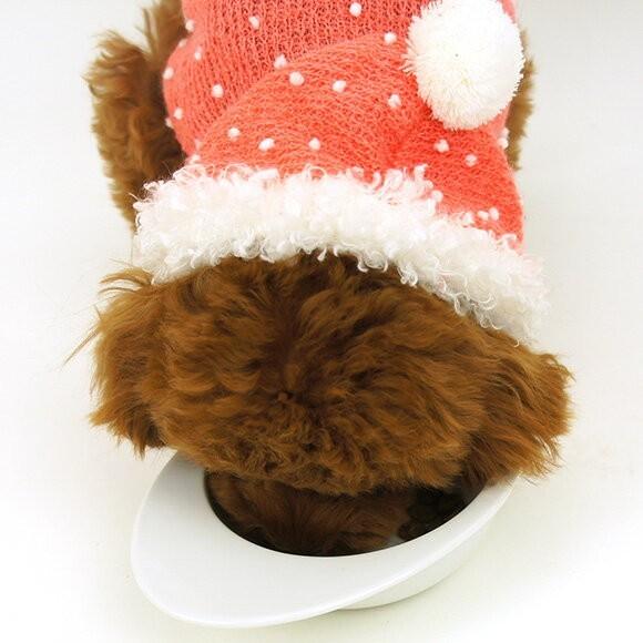 SELECT BALANCE ドッグフード セレクトバランス エイジングケア ラム