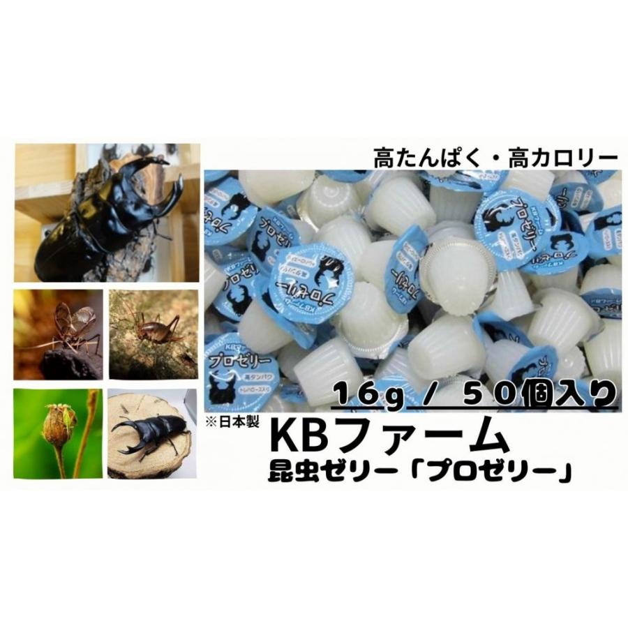 昆虫ゼリー プロゼリー 16g KBファーム (16g50個) クワガタゼリー