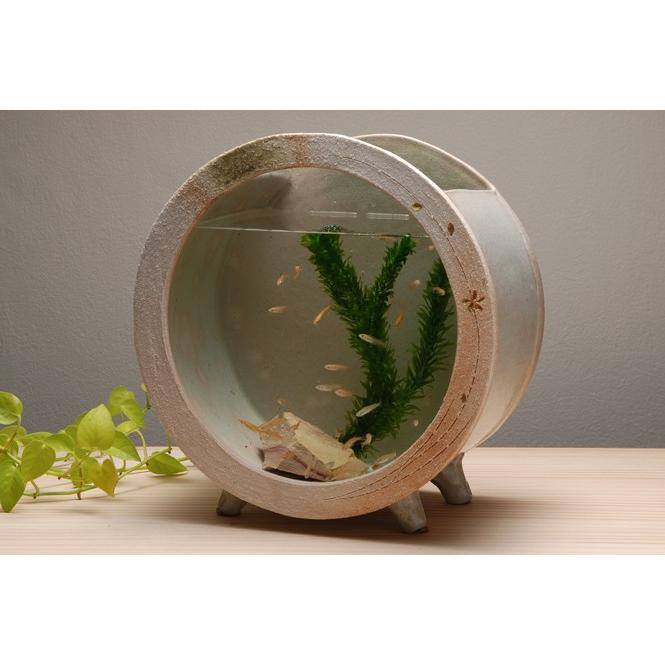 白金彩丸水槽 (大) 信楽焼 金魚鉢 水槽 陶器 めだか鉢 水鉢 : 彩り屋