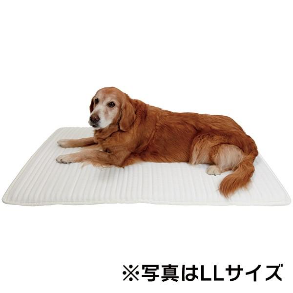 ホームナース L 犬 介護