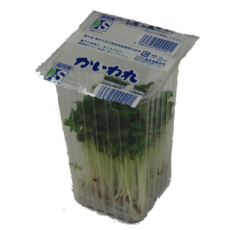 九州産 かいわれ（カイワレ・貝割れ大根） 1パック 九州の安心・安全