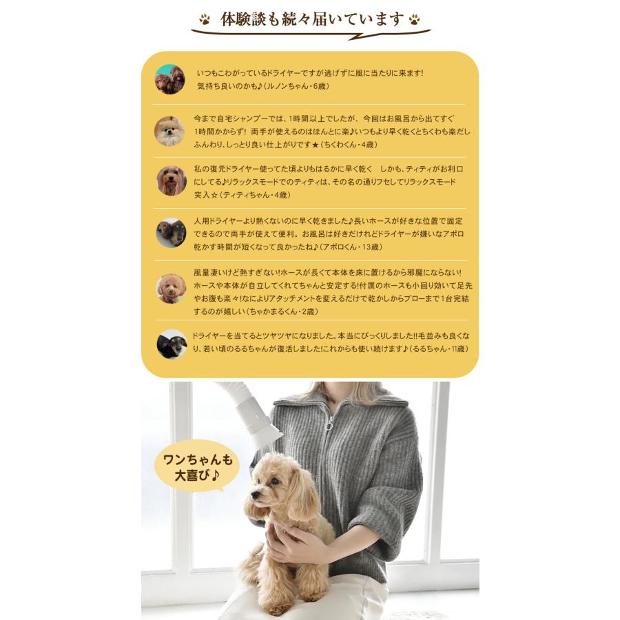 ハンズフリードライヤー LOUVREDO 復元ドライヤーPET プロ仕様