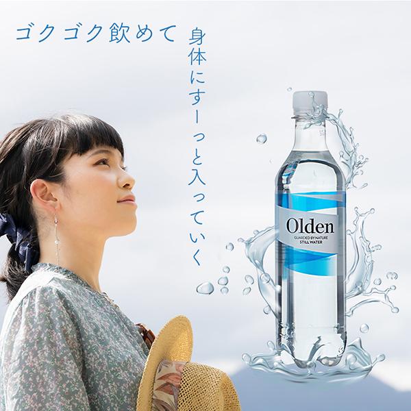 北欧 ノルウェー ミネラルウォーター 500ml 6本 オルデン 超軟水 水