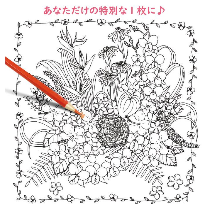 コスミック出版 大人の塗り絵セット 色鉛筆24色付き 猫 新装版 幸せを