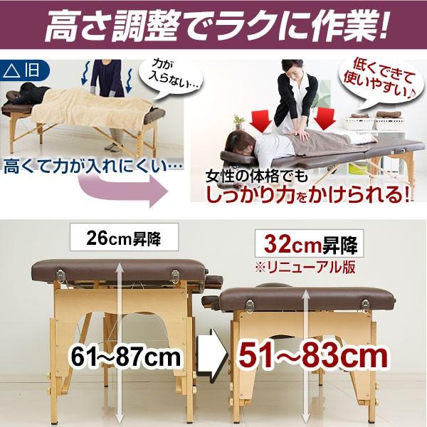 NEW Stella 折りたたみベッド 施術用 収納カバー付き NEW Stella