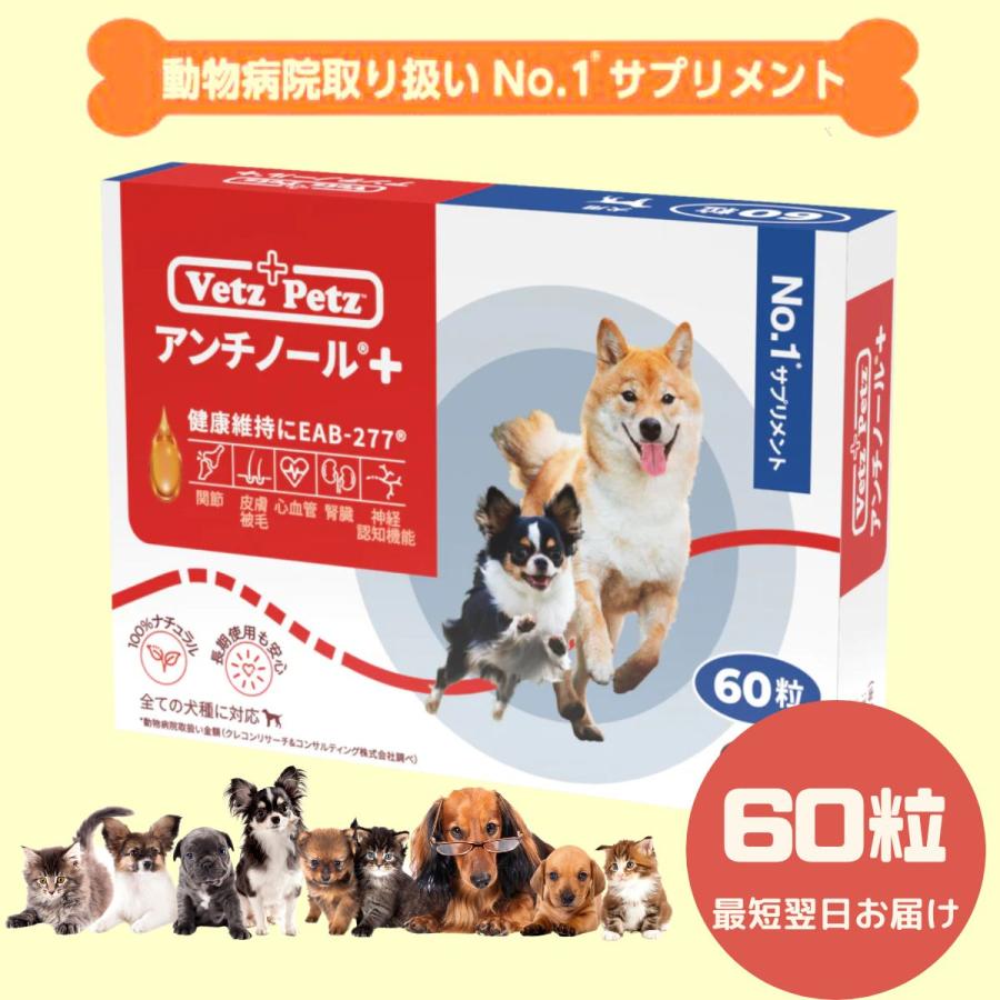 60粒】【あす楽】アンチノールプラス アンチノールplus 犬用