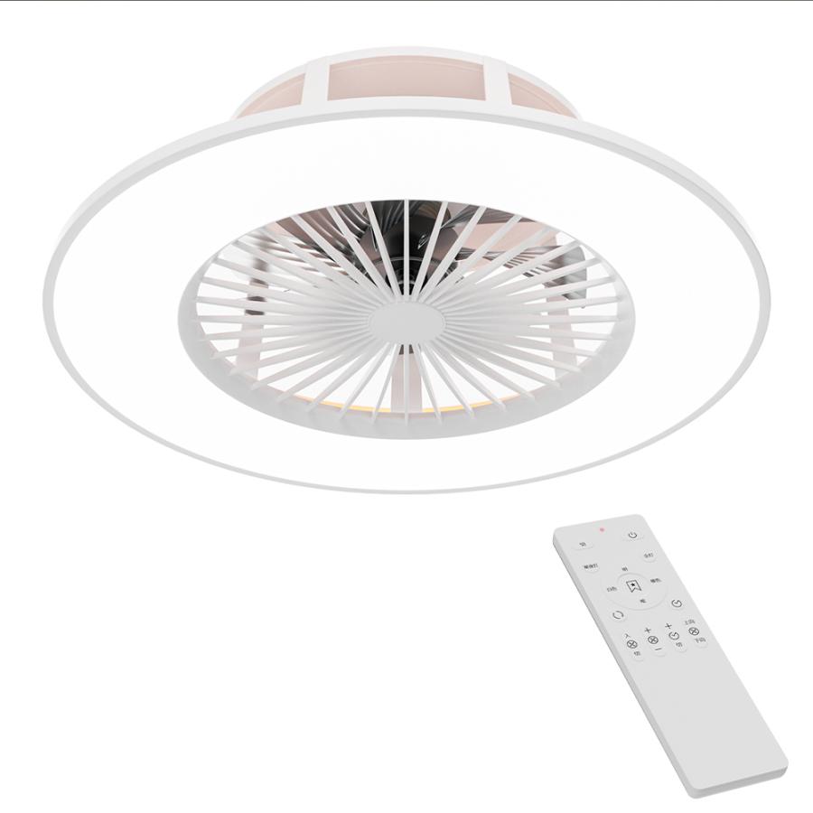 シーリングファンライト 8畳 10畳 薄型 軽量 調光調色 シーリング