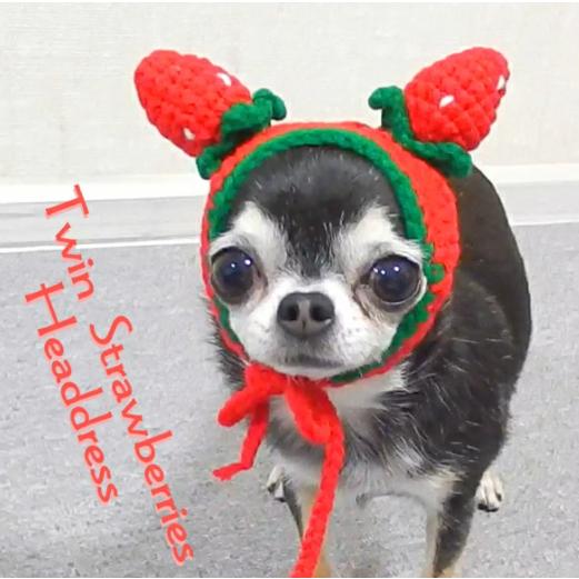 いちご ニット帽子 犬 ニット イチゴ 苺 帽子 ペット 小型犬 犬用