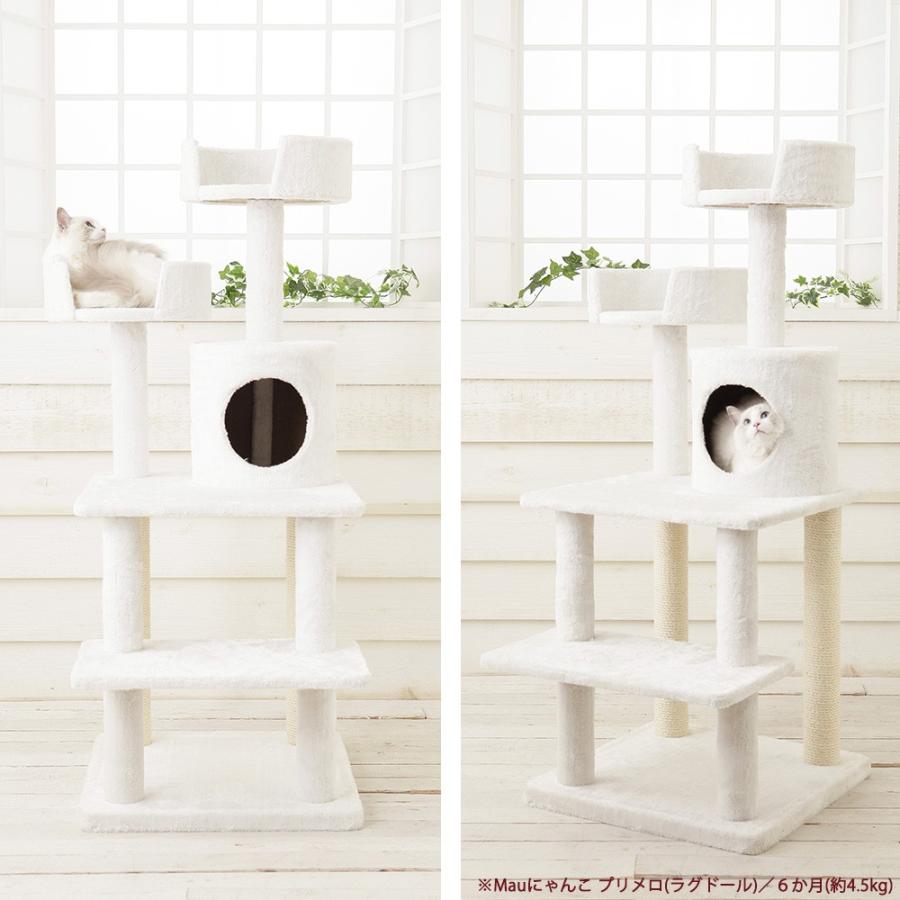 Mauタワーココ】キャットタワー 人気 据え置き コンパクト 子猫