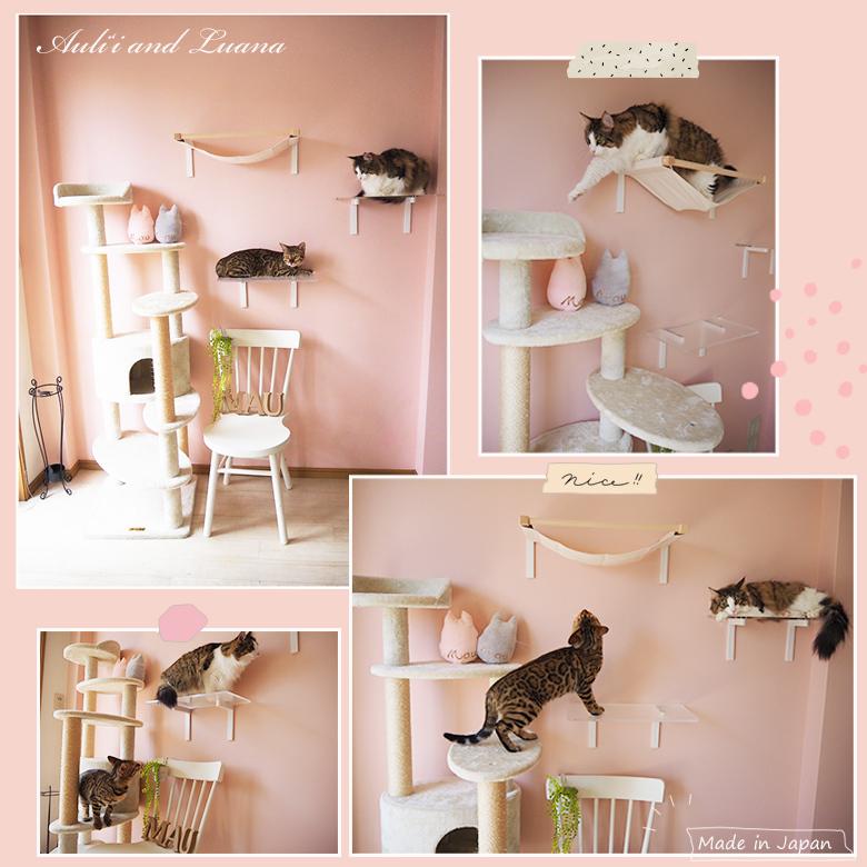 ワイドステップ（クリア）キャットウォーク 賃貸OK DIY 運動不足解消