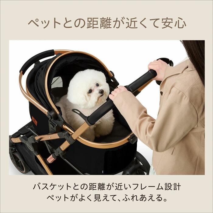 OSOTO GEX OSOTO（オソト） GRACE RC ノワール【tt】 : マペット