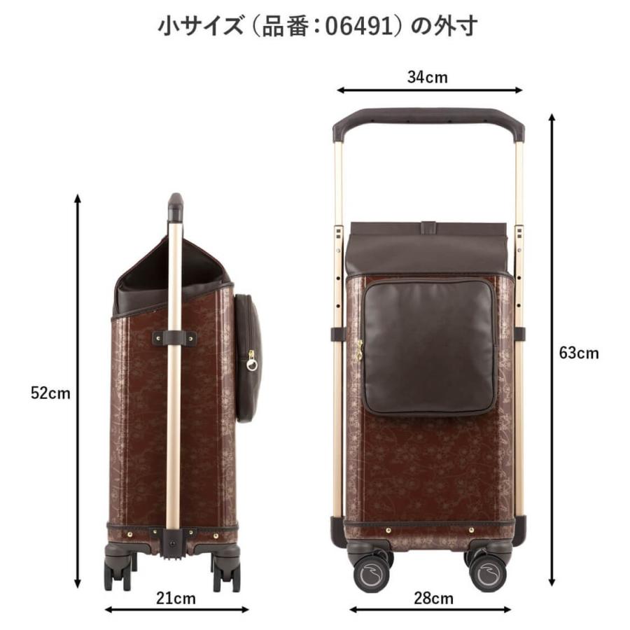 Ace（エース） ACE soelte ソエルテ ノイ 小サイズ 23リットルキャリー