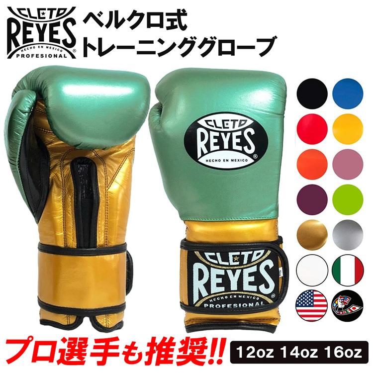 レイジェス(reyer) プロ・アマトレーニング用 レイジェス(reyer) プロ