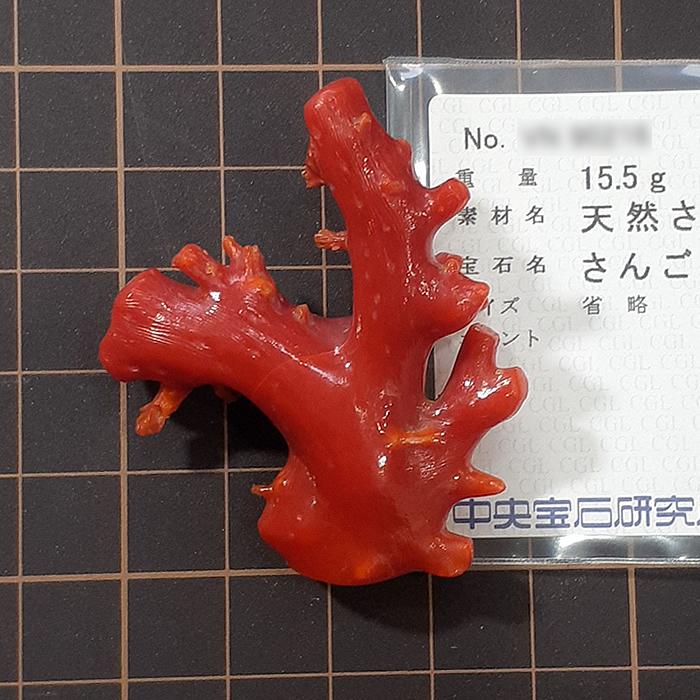 天然サンゴ 枝状コーラル ピンクオレンジ 天然サンゴ 枝状コーラル