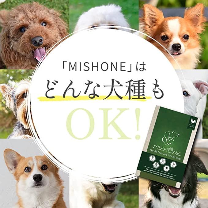 MISHONE（ミシュワン） 【公式】 【トライアル100g×2個セット