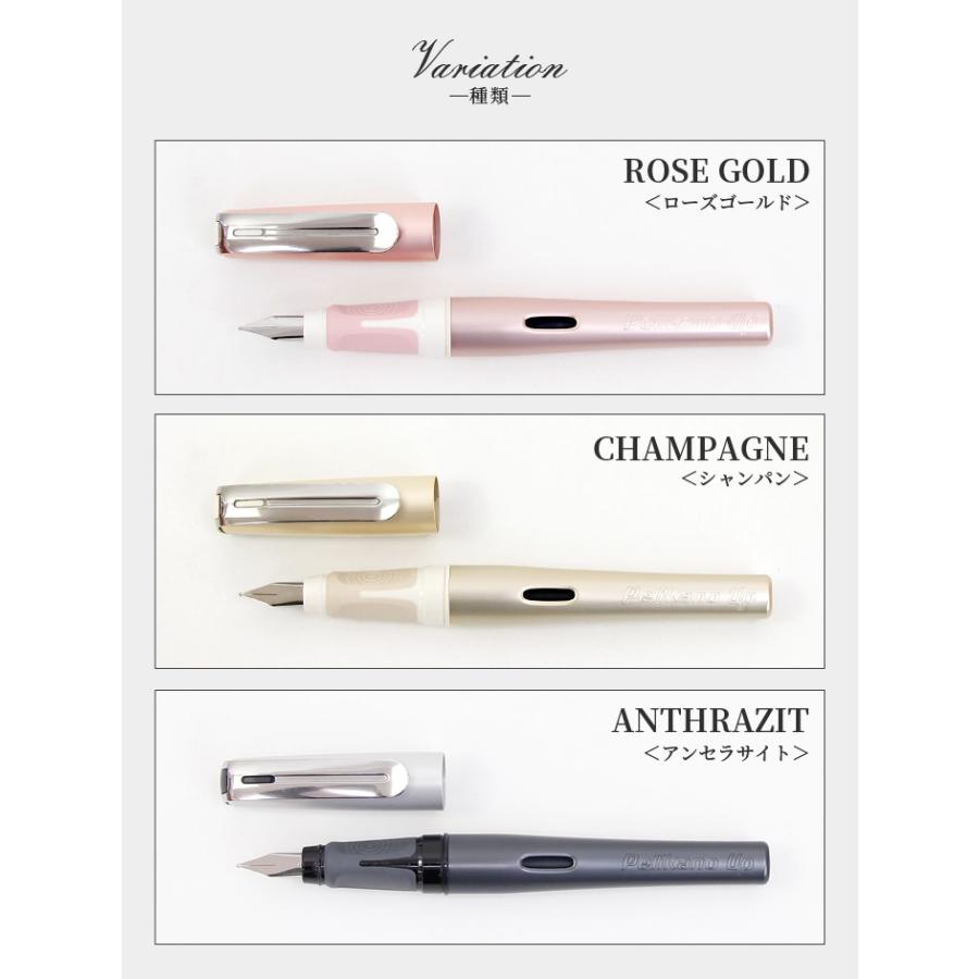 PELIKAN ペリカン 万年筆 セット 1677 楽天市場】【名入れ・送料無料