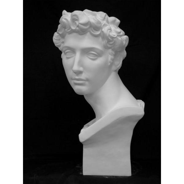 メディチ石膏像 石膏像：メディチ像 顔 Stock Photo | Adobe Stock